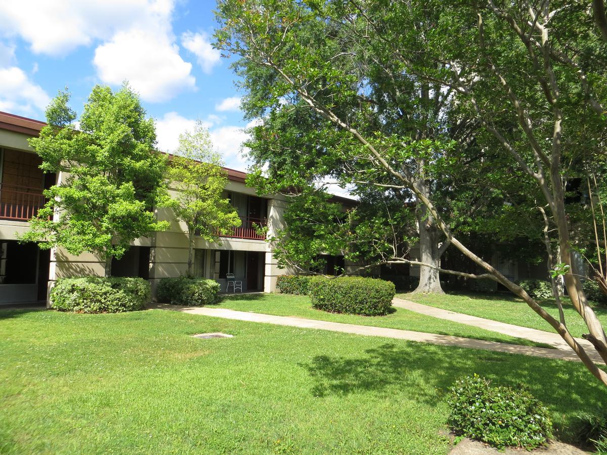 Olive Tree Hotel And Banquet Halls Jackson Esterno foto